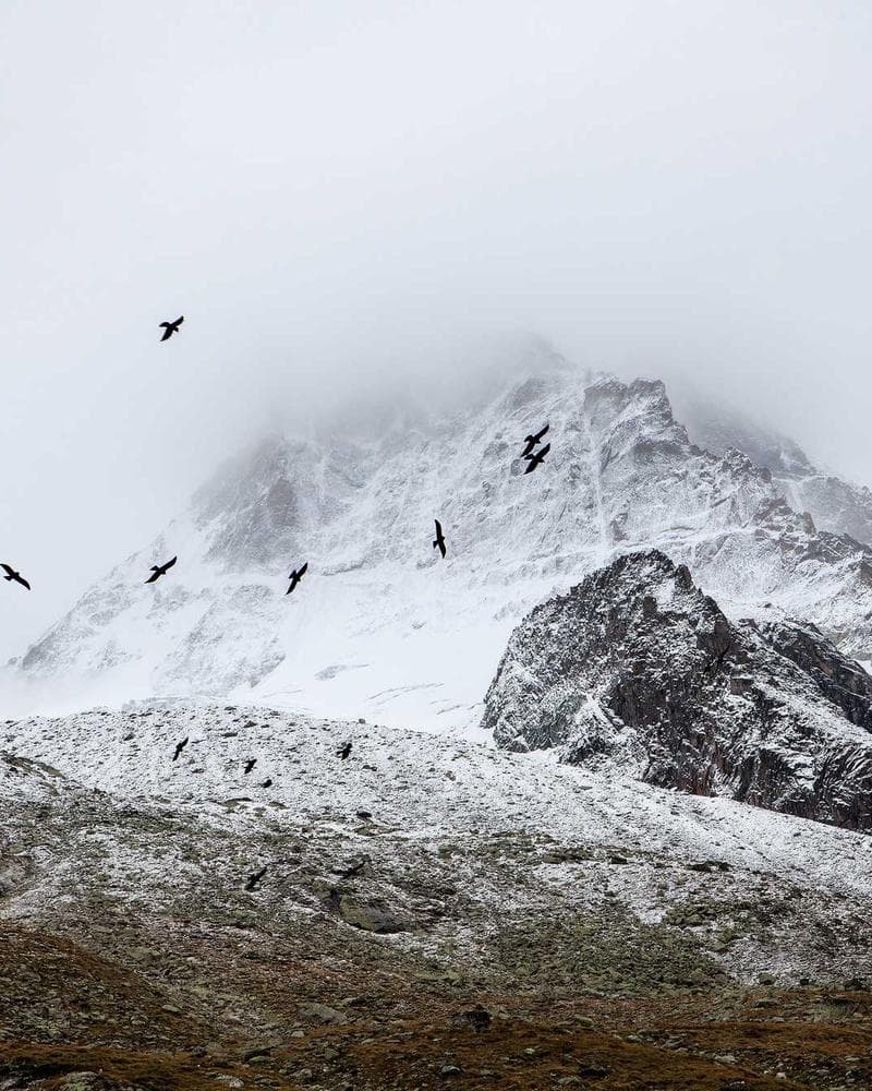 New Balance 550 White Green