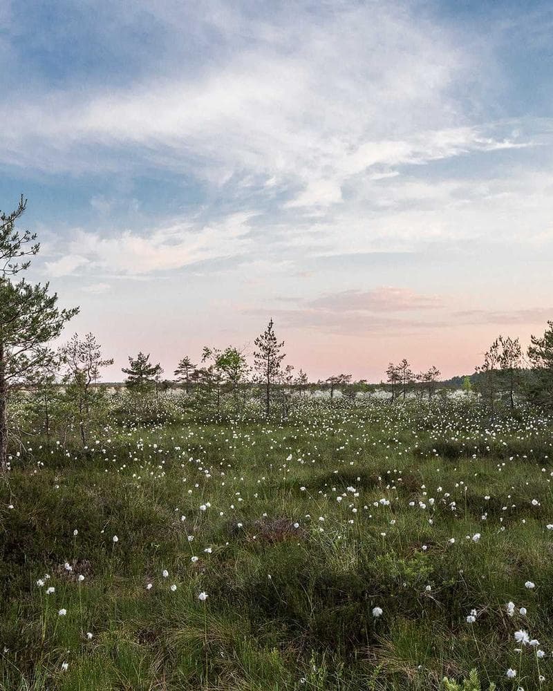New Balance 550 White Green — additional photo