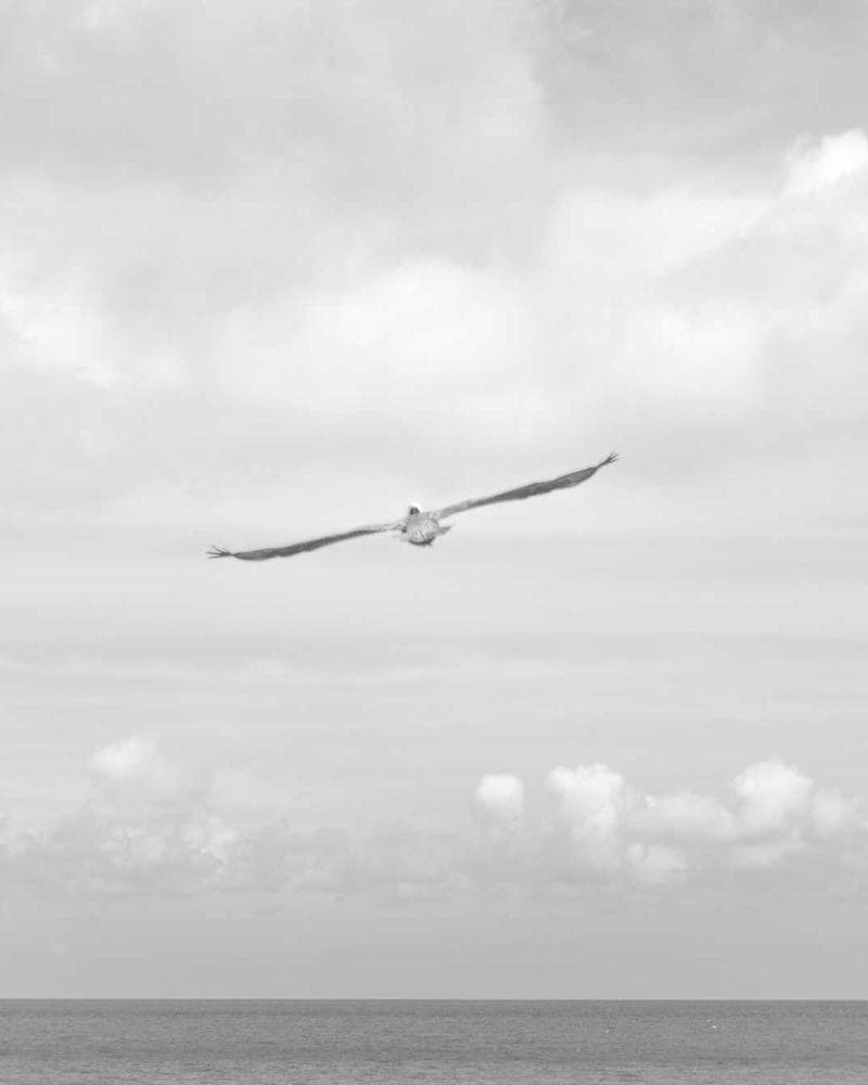 New Balance 550 White Green — additional photo