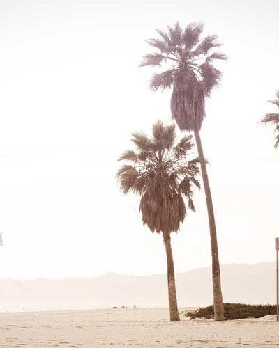 Fred Perry Twin Tipped Polo