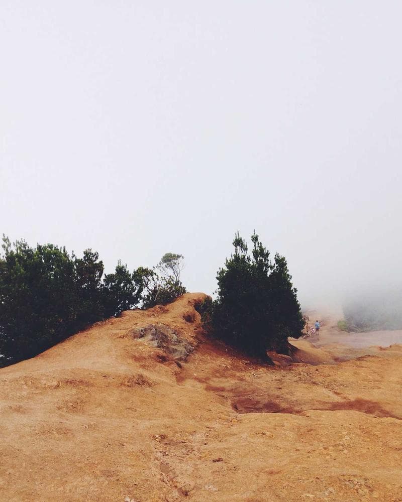 Fred Perry Twin Tipped Polo — additional photo