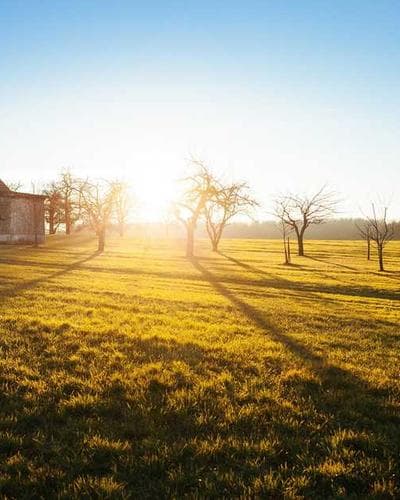 Patagonia Better Sweater Fleece