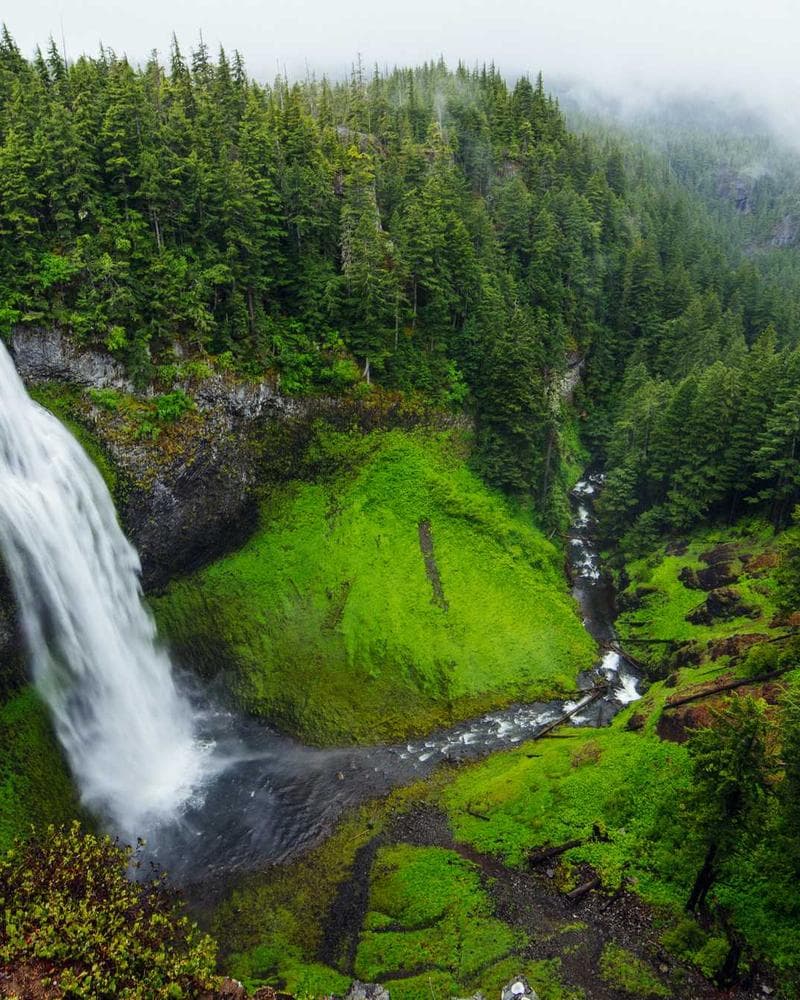 Patagonia Better Sweater Fleece — additional photo