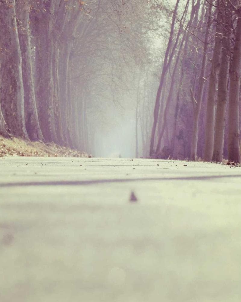 Tommy Hilfiger Essential Down Jacket