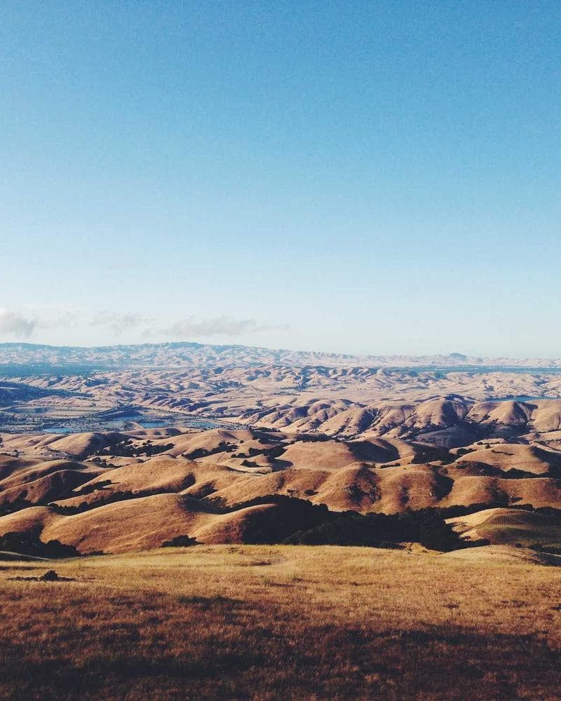 Reebok Classic Leather Trainers