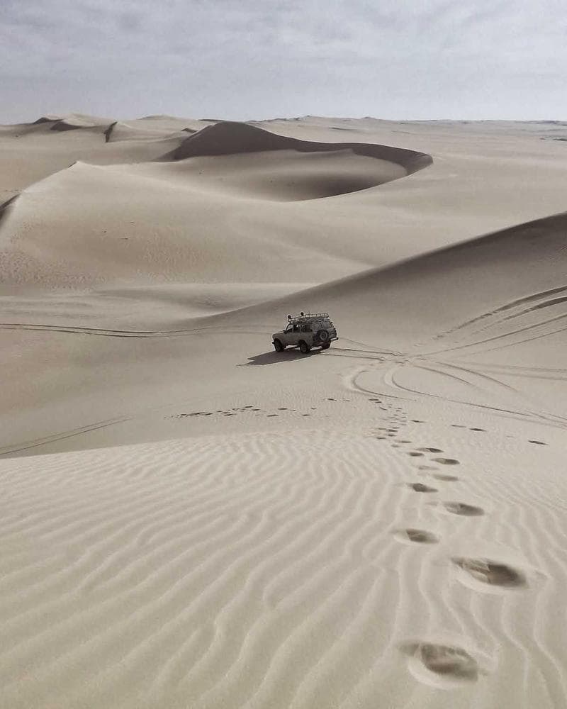 Dickies 874 Original Work Trousers — additional photo