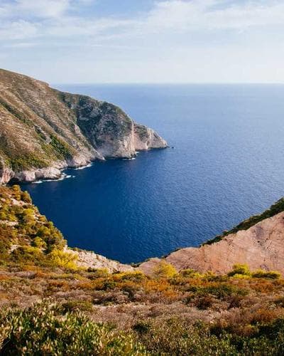 Stussy Basic Logo Hoodie