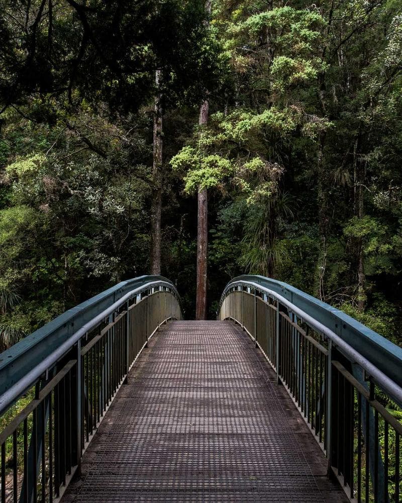 Stussy Basic Logo Hoodie — additional photo