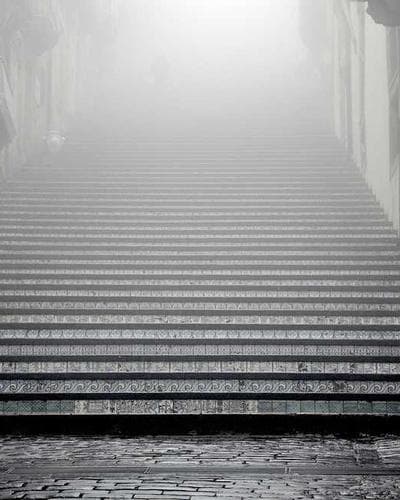 Uniqlo Ultra Light Down Vest