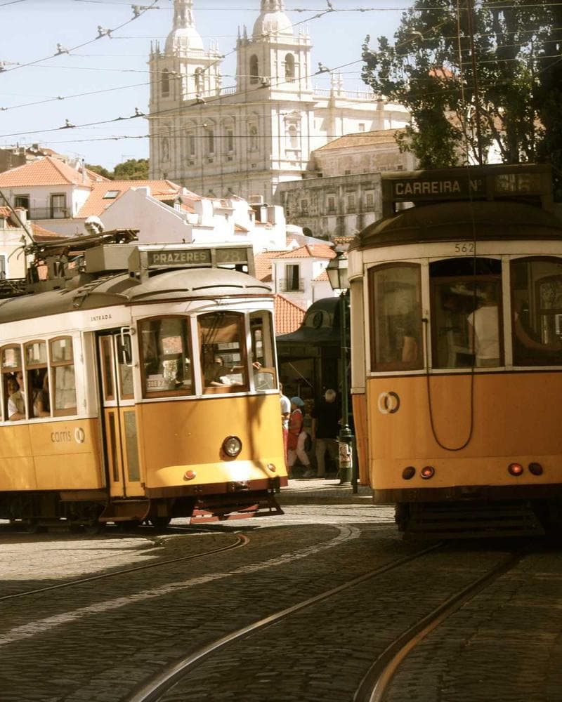 Uniqlo Ultra Light Down Vest — additional photo