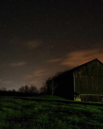 Puma Suede Classic XXI Trainers