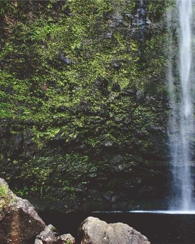 Carhartt WIP Detroit Jacket