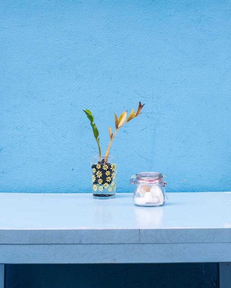 Carhartt WIP Detroit Jacket