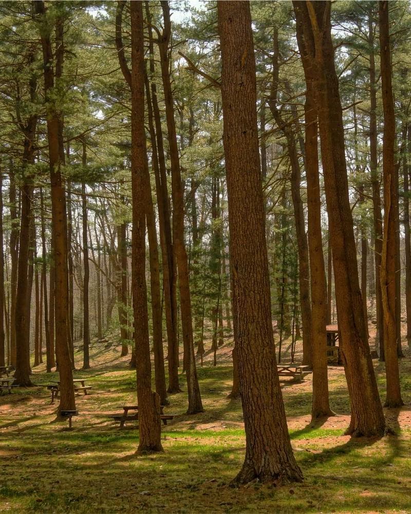 Carhartt WIP Detroit Jacket — additional photo