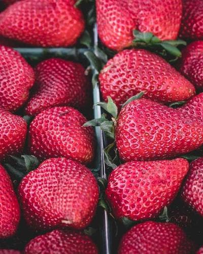 Adidas Samba OG Trainers