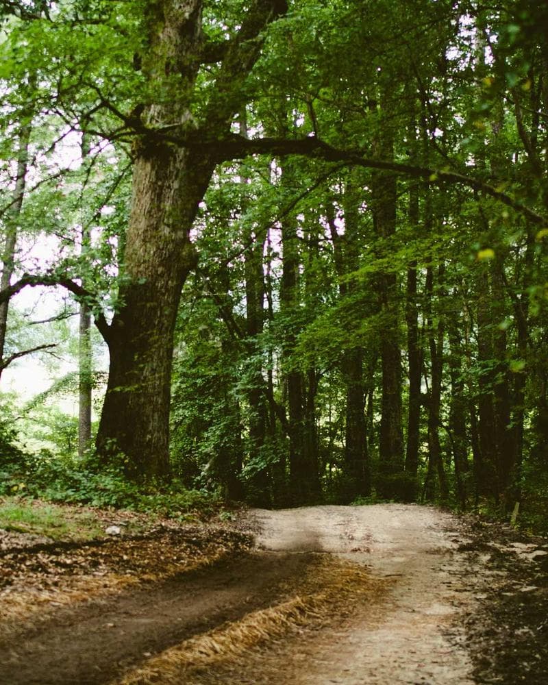 Adidas Samba OG Trainers — additional photo