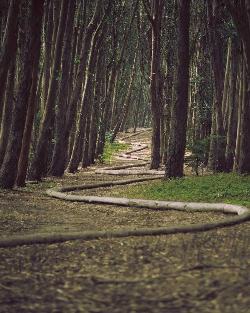 Ralph Lauren Oxford Shirt — additional photo