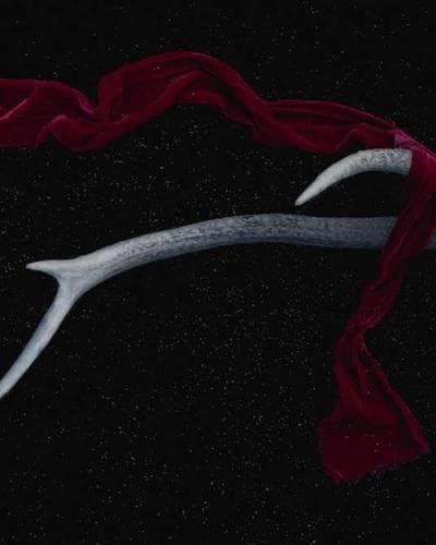 Dr. Martens 1460 Smooth Leather Boots