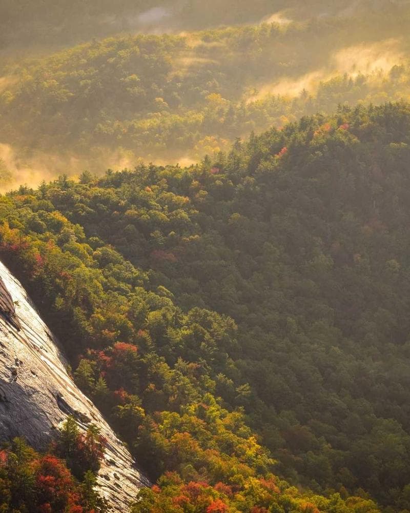 Stone Island Crewneck Sweatshirt