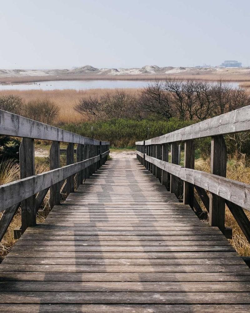 Converse Chuck Taylor All Star High