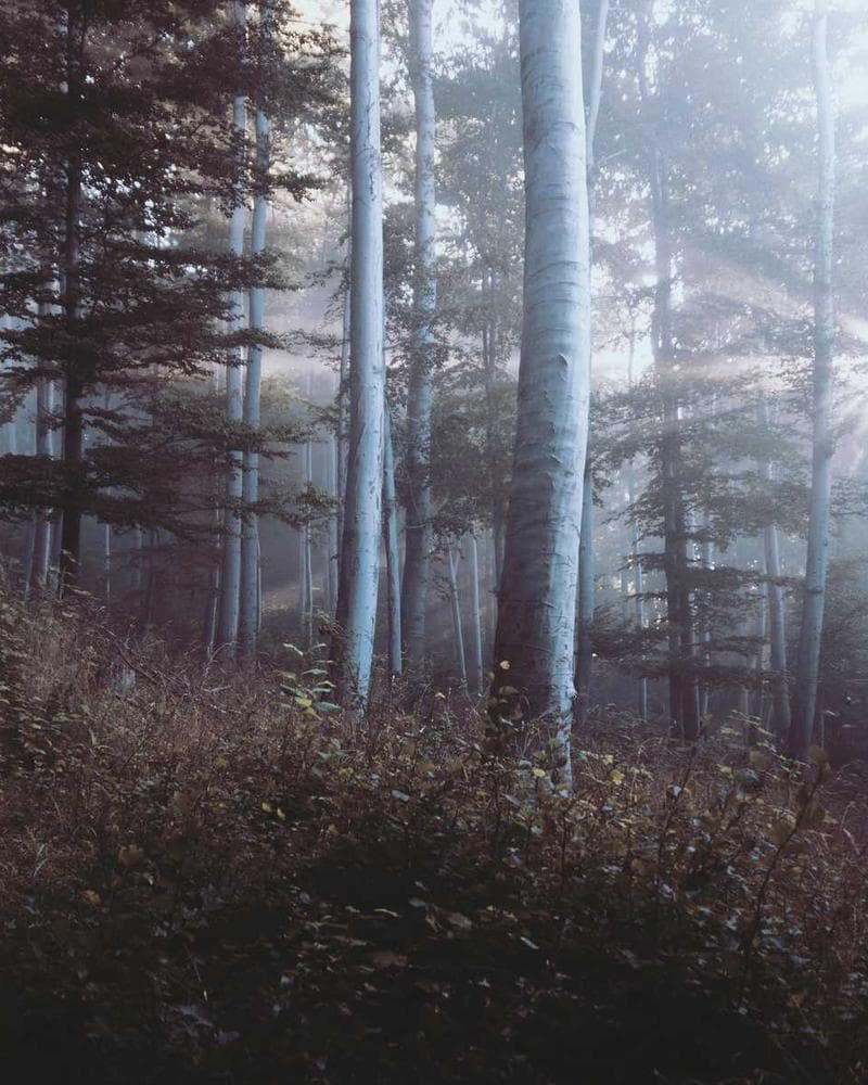 Converse Chuck Taylor All Star High — additional photo